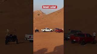 Desert safari