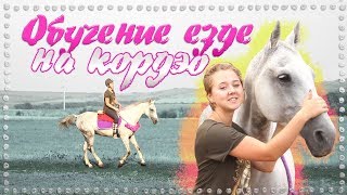 Обучение лошади езде на кордэо | КОННЫЕ СОВЕТЫ