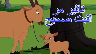 تاثیر مراقبت صحیح | داستان های فارسی جدید | قصه های کودکانه | قصه های فارسی | Dastanhaye Farsi