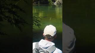 Beetles & BIG Brown Trout - Dry Fly Fishing