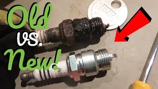 Putting New Spark Plugs on our 1974 Ford F-100! | Reed Foster