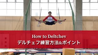 Deltchev training & points【Rings】