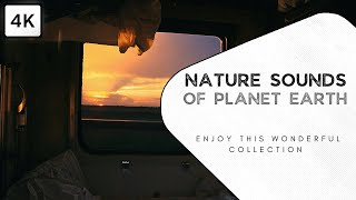 PLEASANT AND RELAXING NATURE MUSIC