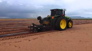 T-Tape planting