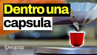 Come si produce il caffè in capsula? Vi mostriamo il processo industriale che c'è dietro