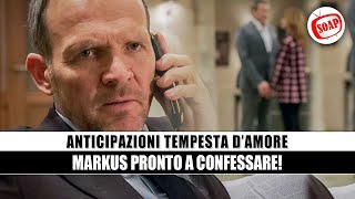 Tempesta d’Amore Anticipazioni: Markus pronto a confessare!