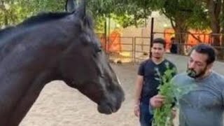 Salman Khan spends lockdown at Panvel farmhouse, eats leaves for breakfast with his horse