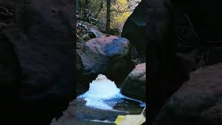 little foam cake ⛰️🍁🍰🍁⛰️ #nature #natureart #natural #cake #river #stream