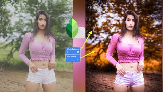 Snapseed New 2 Tips Amazing Photo Editing 🔥 ! Best Colour Photo Editing