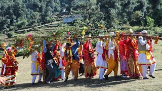 डाली का कौथिक। देखिए केसे पाण्डव पास्वों द्वारा पन्या की डाली लाई जाती है।  Amit Negi Vlogs