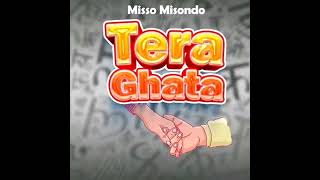 Misso missondo _Tera Ghata (official audio)