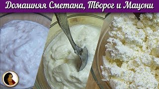 Домашняя сметана творог и мацони на закваске своими руками