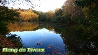 Etangs de la Forêt de Meudon (Hauts-de-Seine)