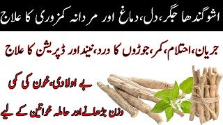 Asgandh nagori ke fayde in Urdu|Hindi | ashwagandha ke fayde Winter cherry root benefits Ashwagandha