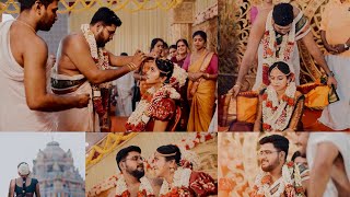 Traditional  Tamil Brahmin wedding | Subramanian.T.V & Parvathy iyer