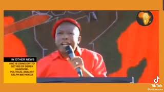 We were divided by colonizers - Julius Malema