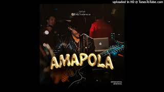 Ariel Camacho - Amapola