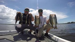 Lake Tarpon - July 15, 2018