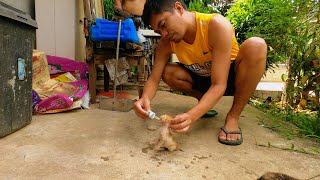 Helping abandoned kittens to survive #animallover #kitten #kitty #animallover #viralvideo #trend