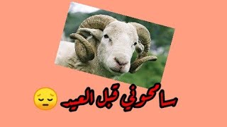 سامحوني 😓 قبل قدوم عيد الاضحى المبارك 🐏🐑