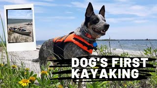 Dog's First Kayaking - Have a fun & safe time!