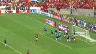 Flamengo 2 x 1 Gremio Campeão Brasileiro 2009