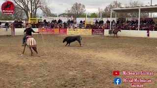 Mira que cercas esperan al toro . En la herradura de Joliet