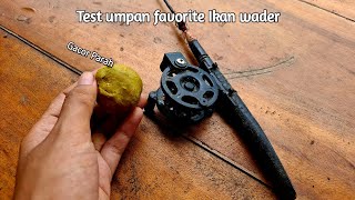 Test Umpan Jitu Di Tempat Favorit