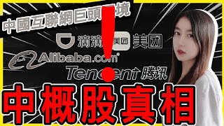 滴滴出行、騰訊﹑阿里巴巴﹑美團買入時機到了嗎？中概股前景分析 | Mila Yuen 投資日常