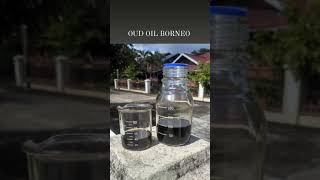 OUD OIL BORNEO KALIMANTAN PURE AGARWOOD DEHN AL OUD