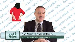 Ağrı Nedir ve Nasıl Yaklaşılır ? -  Prof  Dr  Abdulkadir KOÇER   Algoloji Uzmanı