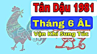 Tháng 6 Tân Dậu 1981 âm lịch: Chưa có dấu hiệu tích cực, nhiều biến động khó ngờ