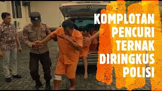 KOMPLOTAN PENCURI TERNAK DIRINGKUS POLISI || Radarlampung.co.id