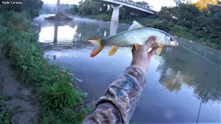 Metoda Gruntowa Która Łowi Sporo Ryb (The method that catches a lot of fish)