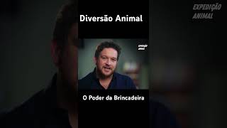 O poder da brincadeira