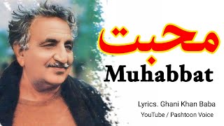 Muhabbat | pashto new poetry 2024 poetry 2024 | ghazal 2024 | Shayari 2024 | Pashtoon Voice