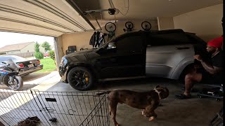 Trackhawk Wrap removal pt. 2 (Merle Bully special appearance)