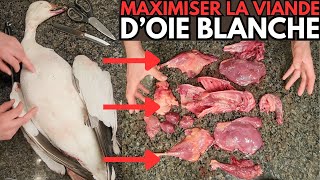 Comment maximiser la viande d'une oie blanche - Arranger, Éviscérer, Boucherie