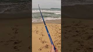 Impressionante! nunca vi uma parati desse tamanho! pesca de praia em Ubatuba!