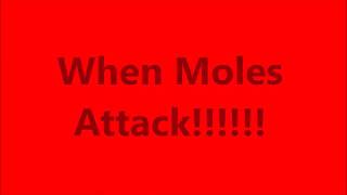 How to Kill Moles, When Moles Attack!!!!!