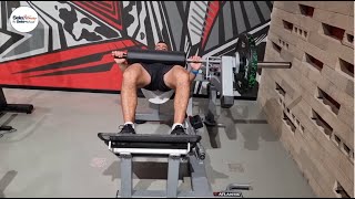 Hip Thrust היפ טראסט