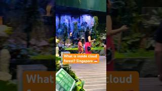 What is inside cloud 🌧️ forest? #singapore #cloudforest #story #explore #story #explore #short