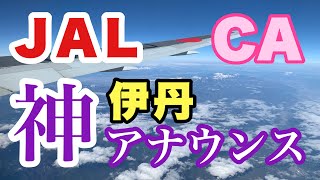 JAL CA神アナウンス  乗客をいたわるアナウンス 【IBA】JAL Cabin Crew's Compassionate Announcement to Comfort Passengers.