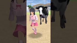 😨Di belakang sapi itu ada seekor sapi#trending#shortvideo#viralvideo#sakuraschoolsimulator