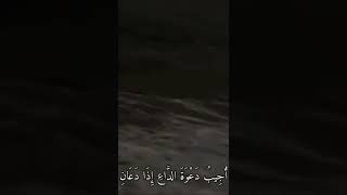 تلاوه الشيخ ماهر المعيقلي