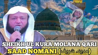 10مختلف انداز میں تلاوت|Sheikh ul Kura molana Qari Saad Nomani (مدینہ شریف)