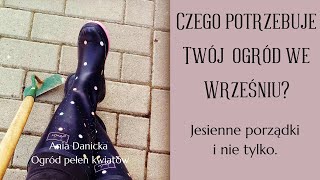 Czego potrzebuje Twój ogród jesienią?