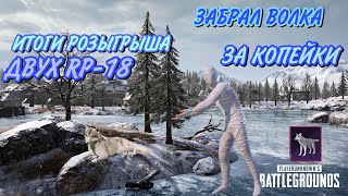 АРКТИЧЕСКИ ВОЛК ЗА КОПЕЙКИ/PUBG MOBILE ИТОГИ РОЗЫГРЫША 2 RP #pubgmobile #mbsplesh #пубгмобаил #pubg