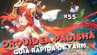 🌷 GUÍA RÁPIDA de FARM de ORQUÍDEAS PADISHÁ 🌷 | Farmea para Nilou | Sumeru 3.1