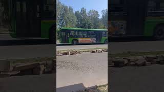 big green bus